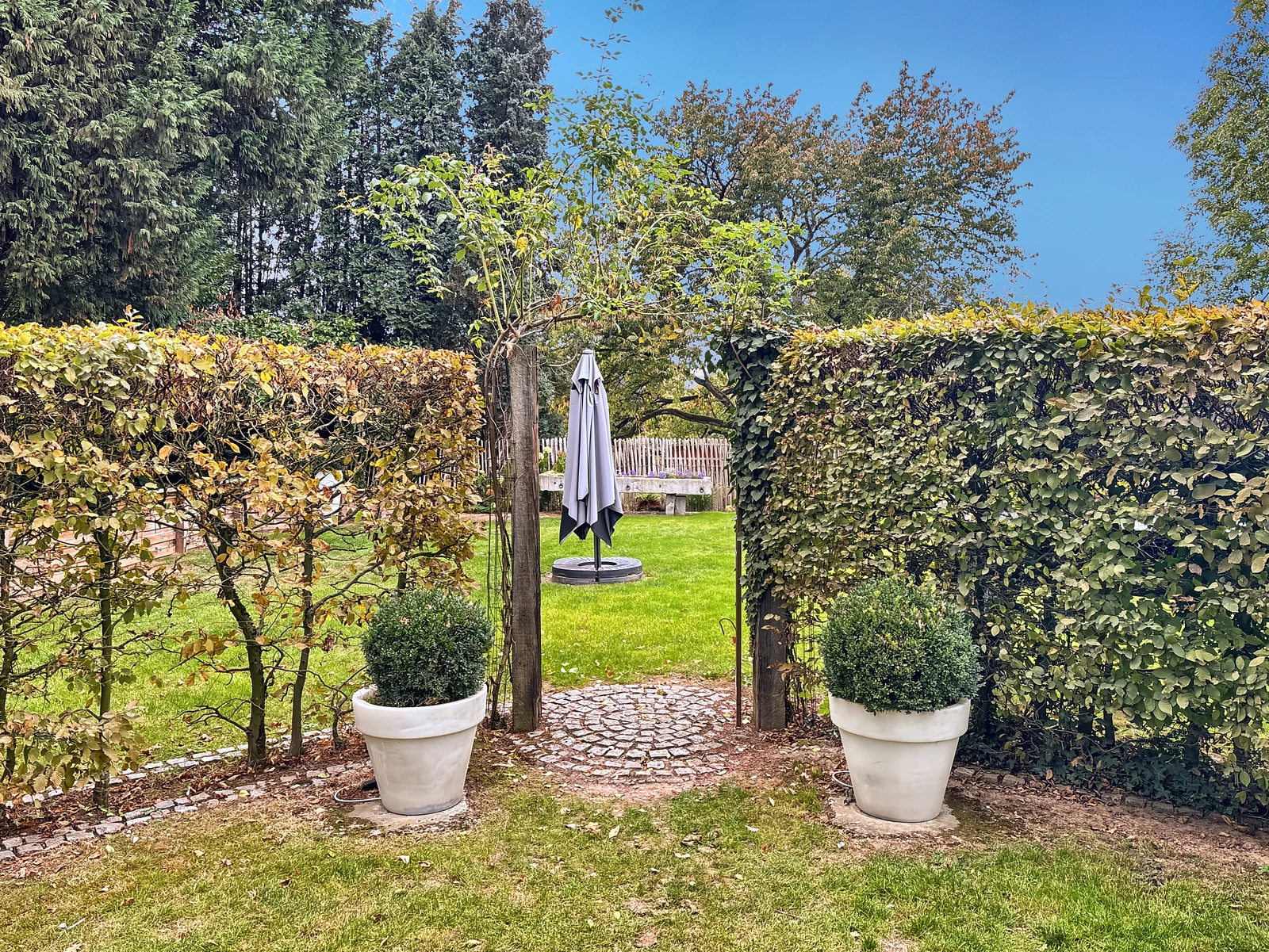Un passage dans la haie, vers la pelouse du jardin