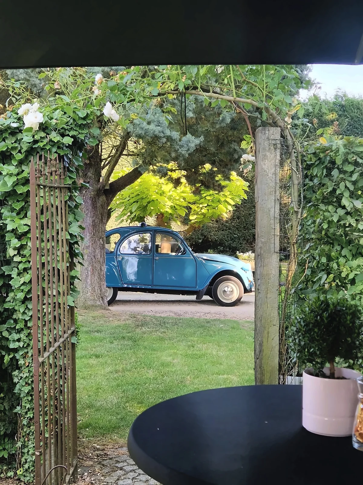 Une 2CV de mariage vue depuis la tonnelle du jardin
